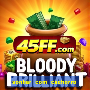 sonhar com cachorro mordendo jogo do bicho